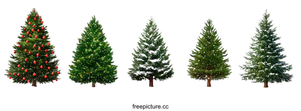 [Transparent Background PNG]Christmas Trees Variety Illustration