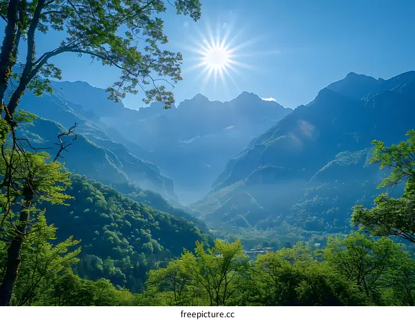 Mountain View with Sun Rays Shining Through Trees