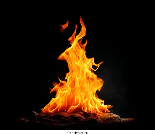 Fiery Flames Against a Black Background
