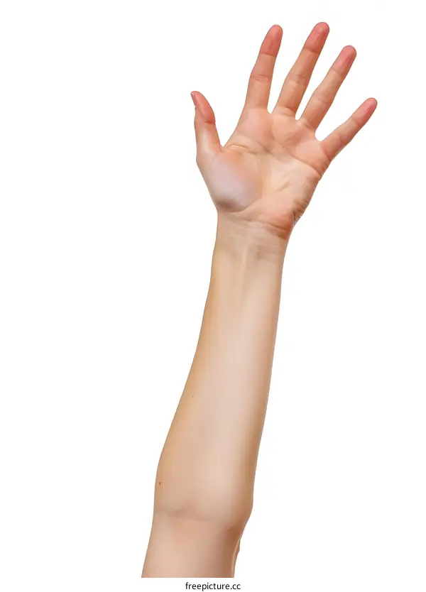 Female Hand Raised on White Background