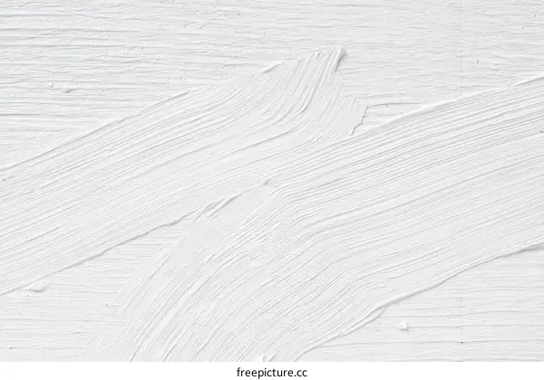 Abstract White Paint Texture Background Design