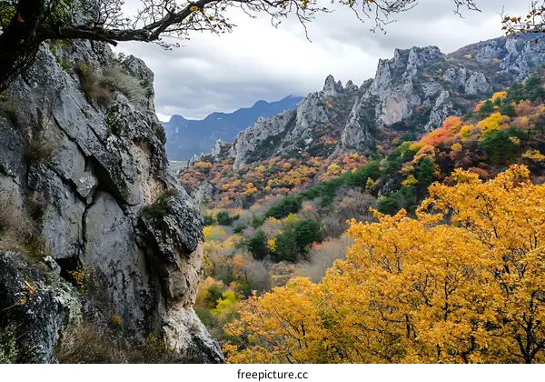 Autumn Mountain Landscape With Foliage