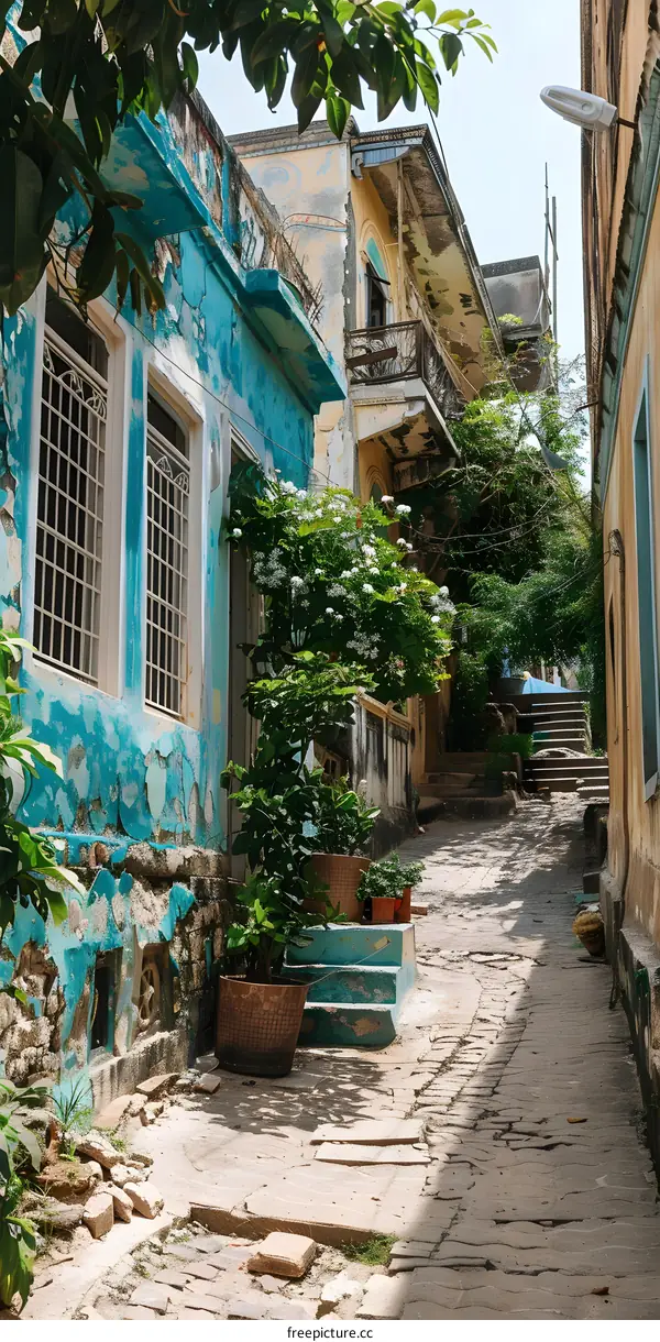 Narrow Alleyway with Flowers