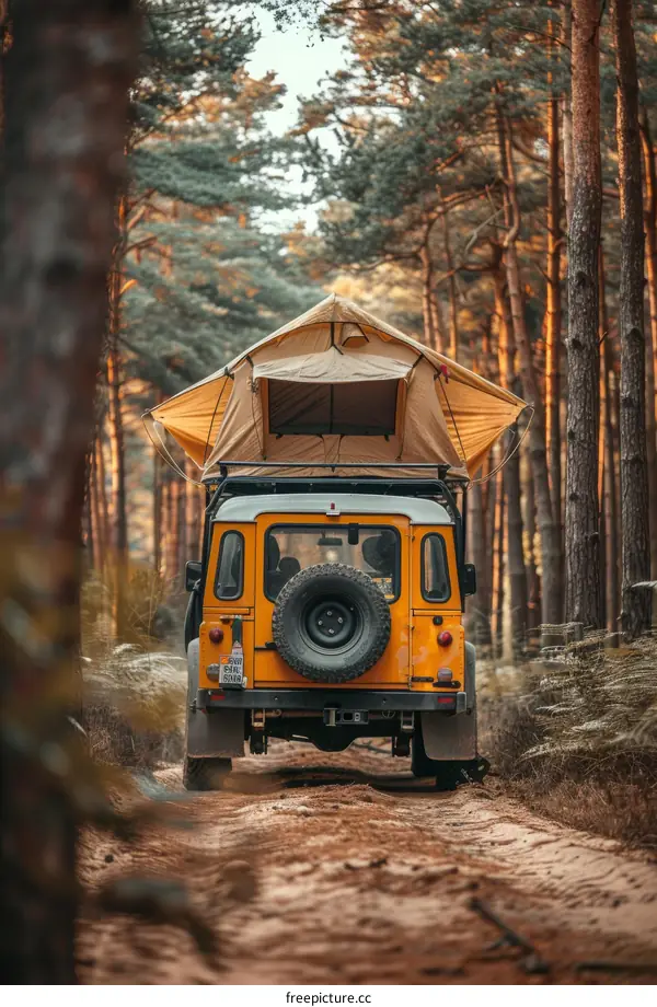 Yellow car with a roof tent in the woods