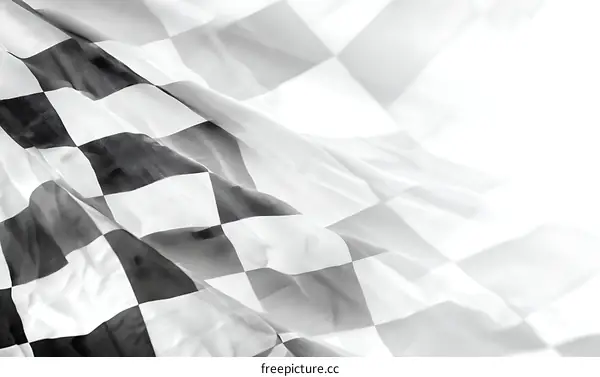 Checkered Flag Close-up Detail