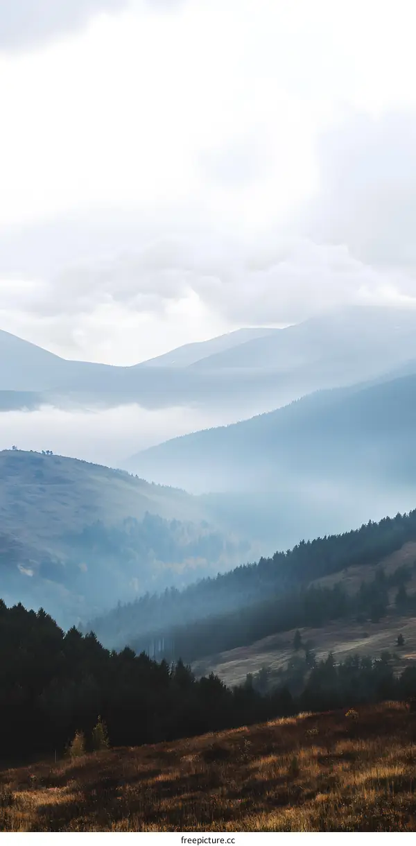 Misty Mountain Landscape with Layers of Fog and Trees