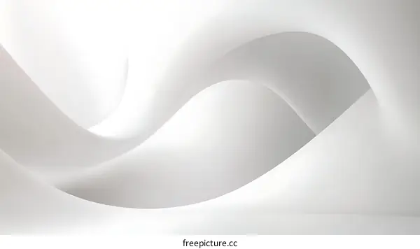 Abstract White Curves Modern Design