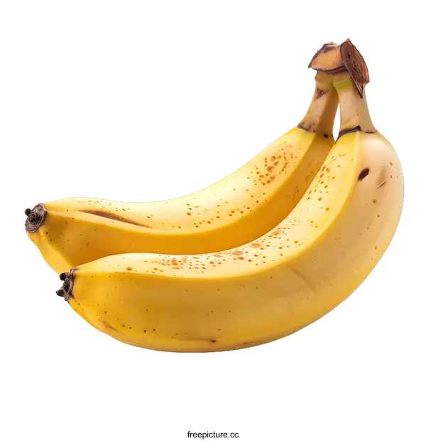 [Transparent Background PNG]Two ripe bananas isolated on white