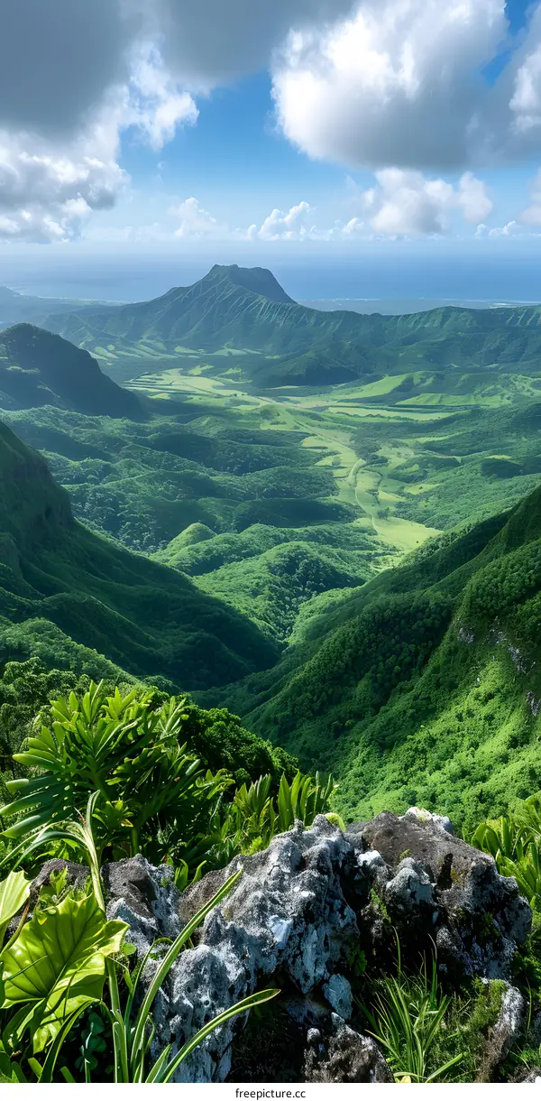 The lush green landscape of Hawaii