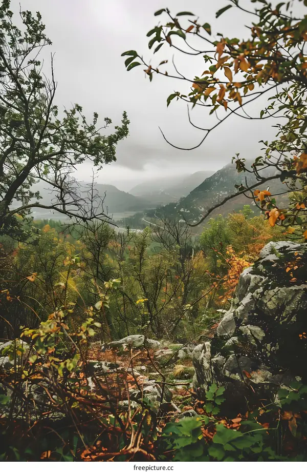 Foggy Mountain Landscape with Autumn Trees