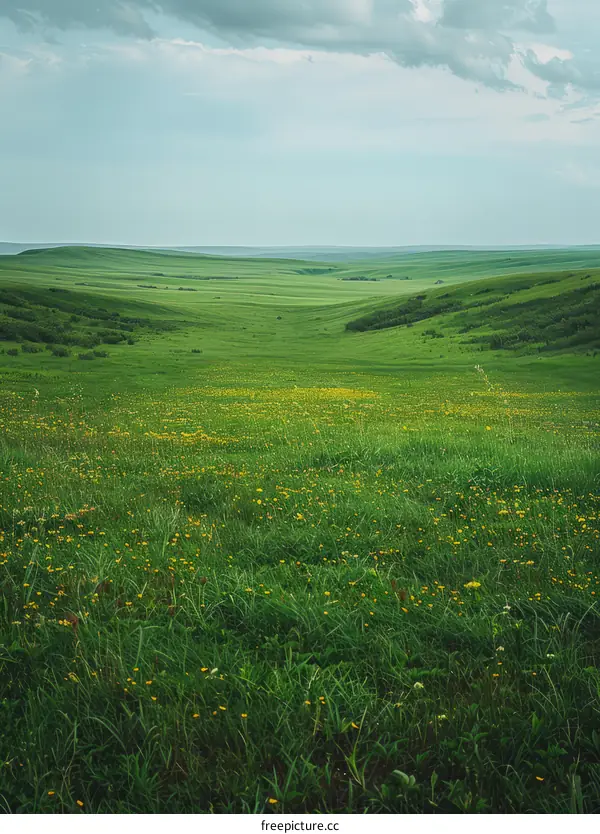 Green rolling hills under cloudy sky