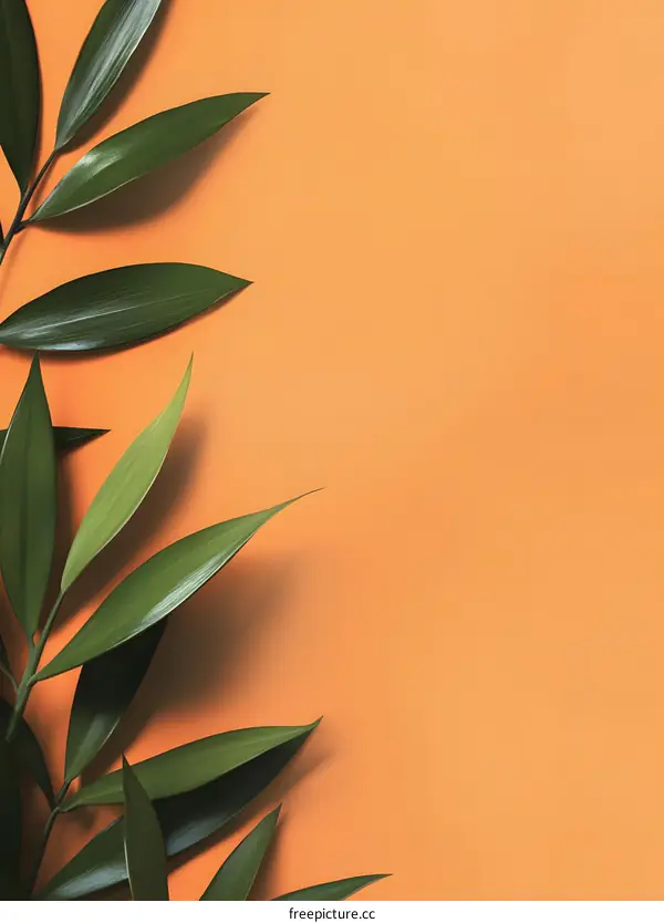Green Leaves on a Orange Background
