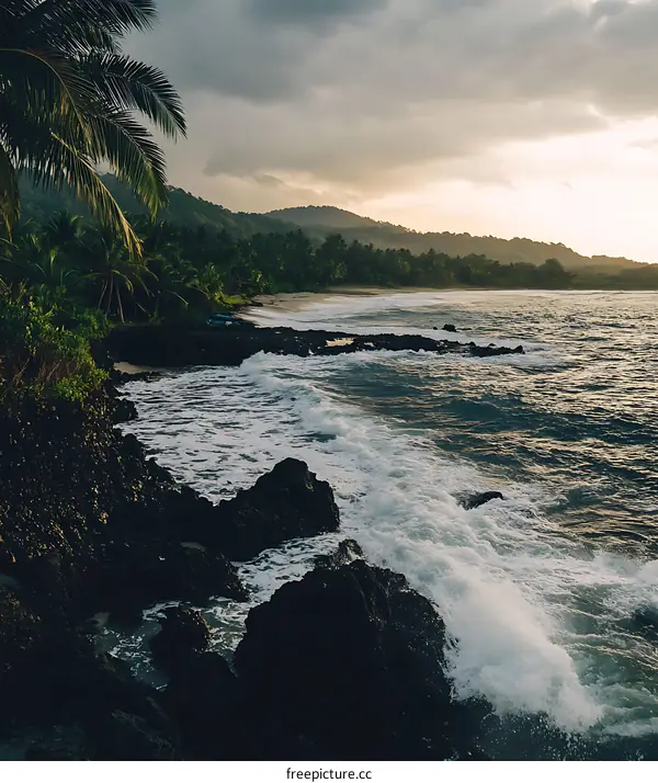 Tropical Beach with Palm Trees and Waves Crashing on Rocks