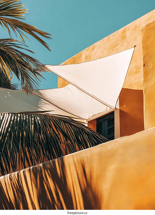 Palm Tree Shadow on Yellow Wall with White Shade