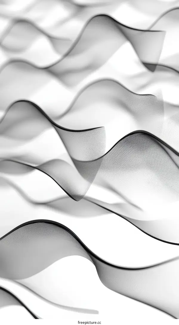 Abstract Black and White Flowing Lines Design