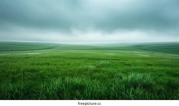 Green rolling hills under a cloudy sky