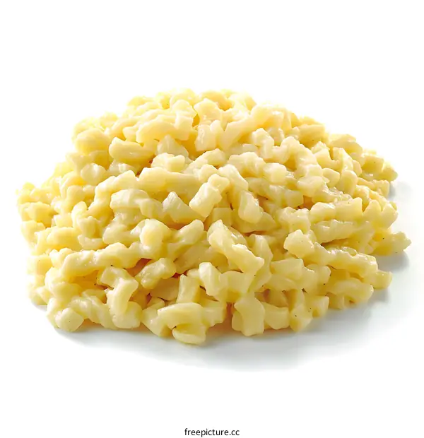 food ingredient pasta