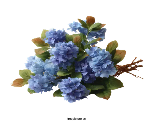 [Transparent Background PNG]Beautiful Light Blue Hydrangea Bouquet on White Background