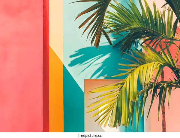 Tropical Palm Tree Leaves Against Colorful Walls