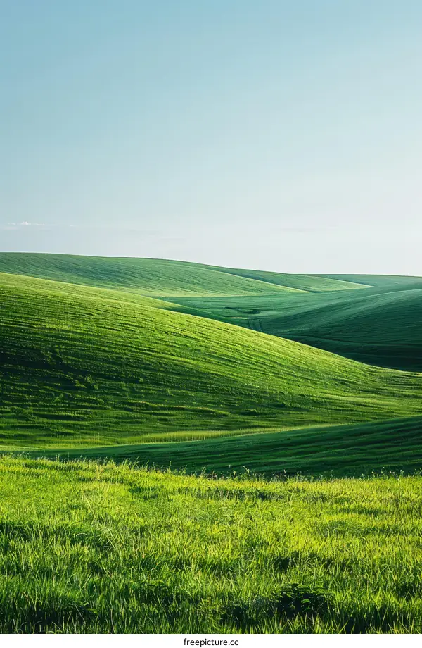 Serene Rolling Hills Under a Blue Sky