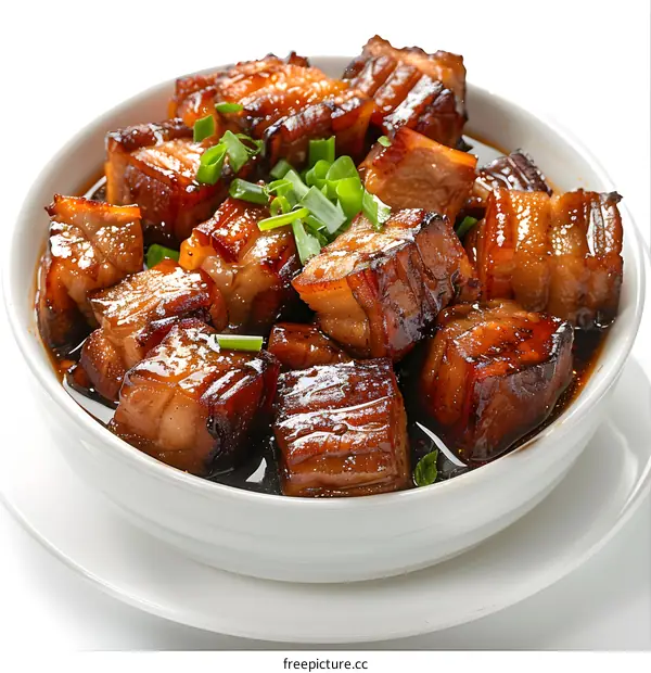 Bowl of Braised Pork Belly