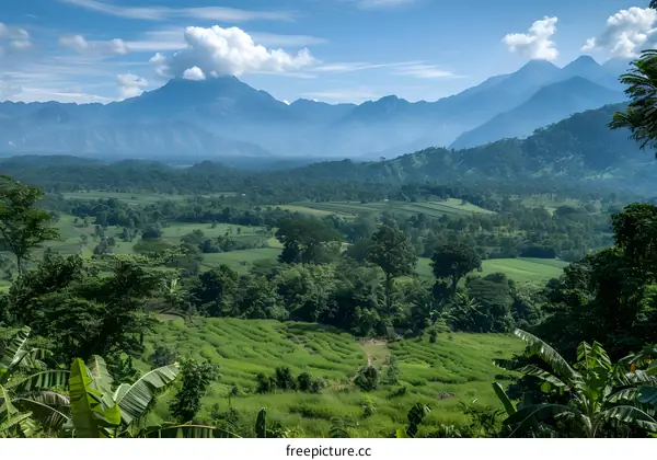 A lush green valley with a mountain range in the distance