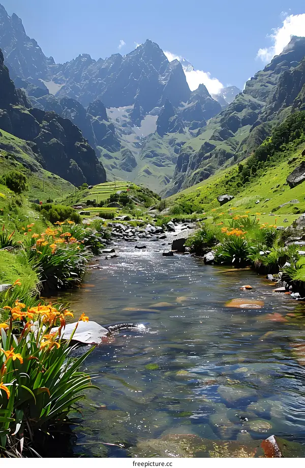Mountain river in a valley with snow capped mountains in the distance