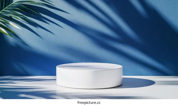 Modern Minimalist White Podium Display