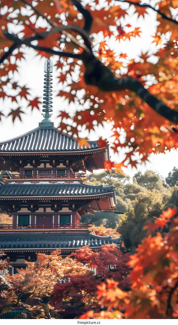 Japanese Pagoda Framed by Autumn Leaves