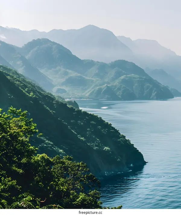 Scenic View of Lush Green Mountains Meeting the Tranquil Blue Ocean