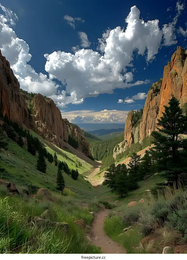 The rugged mountain valley is full of green plants and white clouds