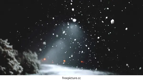 Winter Night Snowfall Scene
