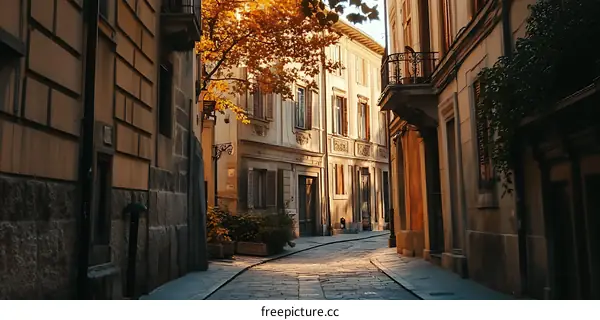 Narrow Stone Street in European City