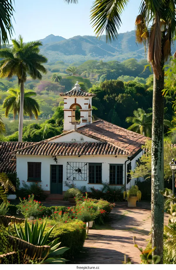 a colonial house with a bell tower in a tropical setting