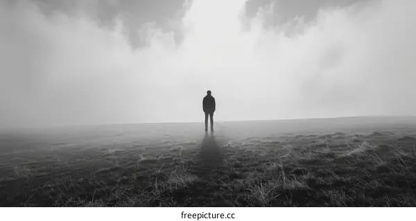 Man standing alone in a field of wheat