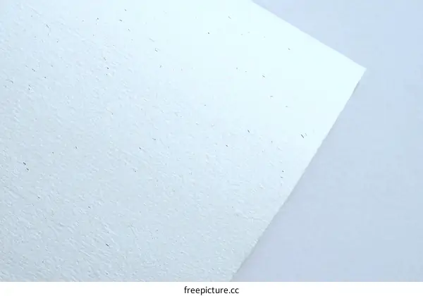 Blank Light Gray Paper Texture Background