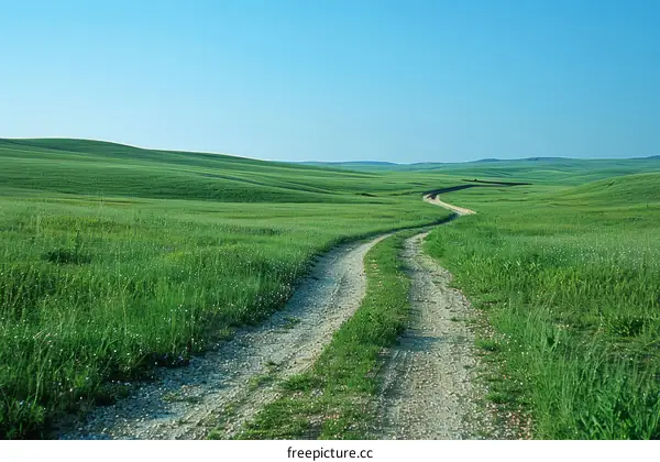 Winding Dirt Road Through Lush Green Grass Fields