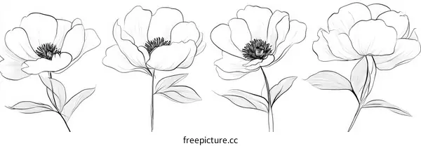 Elegant Floral Line Art Illustrations