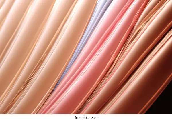 Abstract Colorful Liquid Flowing Lines