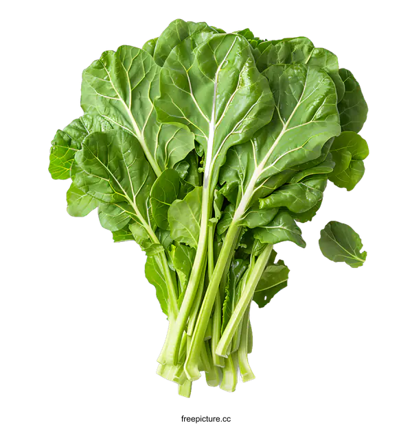 [Transparent Background PNG]Fresh green vegetables on a white background