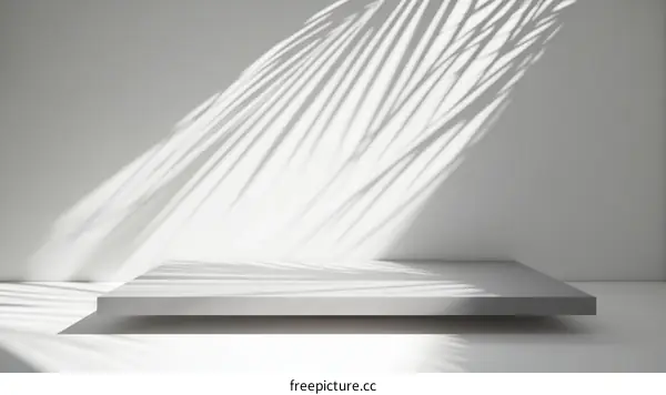 Abstract Minimalist Product Display with Palm Leaf Shadows