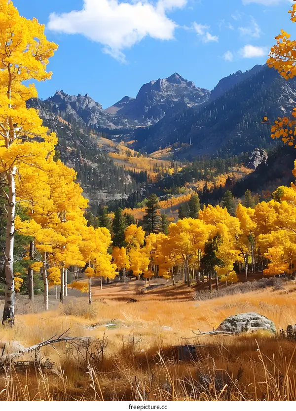Golden Aspen Trees in Autumn Mountain Landscape
