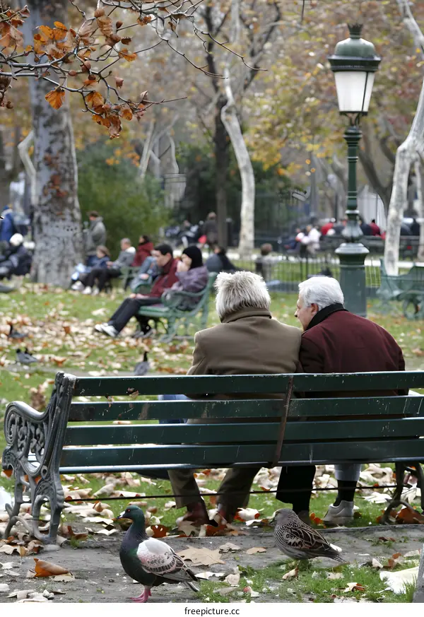Couple Sitting on Bench in Park with Fall Leaves