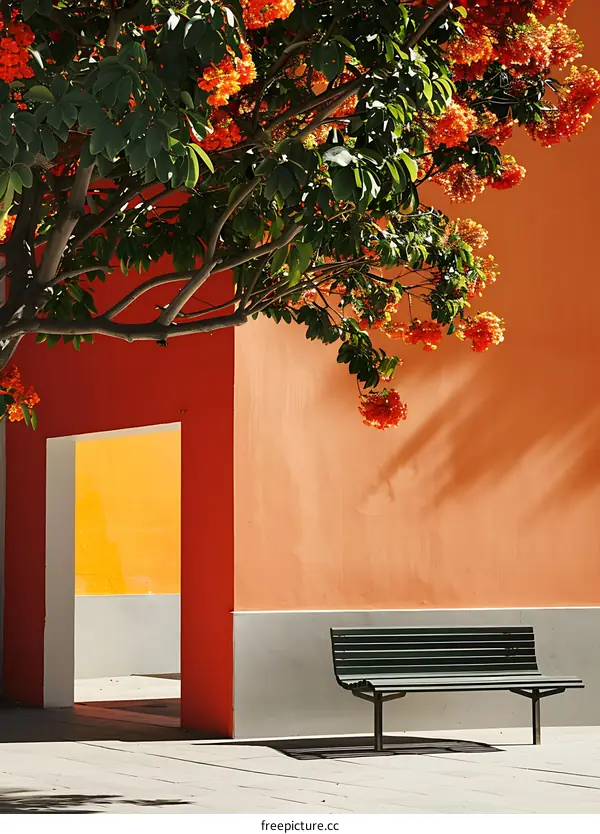 Orange Wall with Green Bench and a Tree