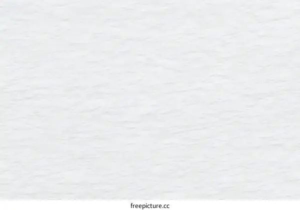 Blank White Paper Texture Background Image