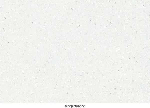 Simple White Texture Background