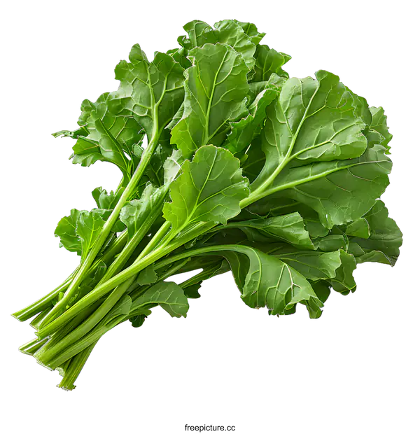 [Transparent Background PNG]Fresh organic green choy sum vegetable on white background