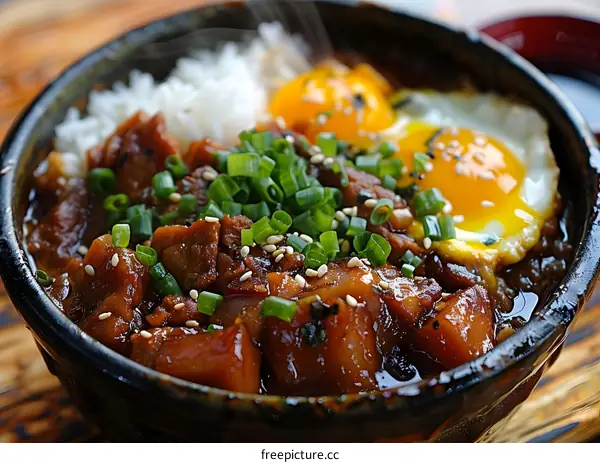 A bowl of Japanese food with rice, meat, egg and scallions.