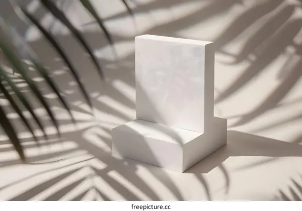 White Podium With Monstera Leaf Shadow