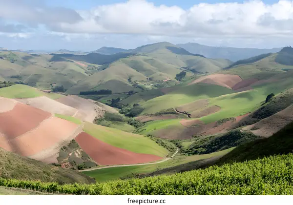 Rolling Hills and Farmland Landscape in the Countryside
